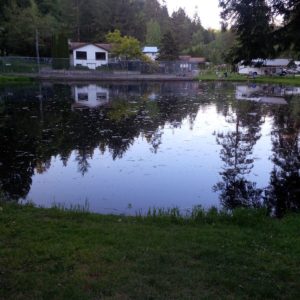 Sunvalley Trout Farm.  View of the small lake 7:30pm.